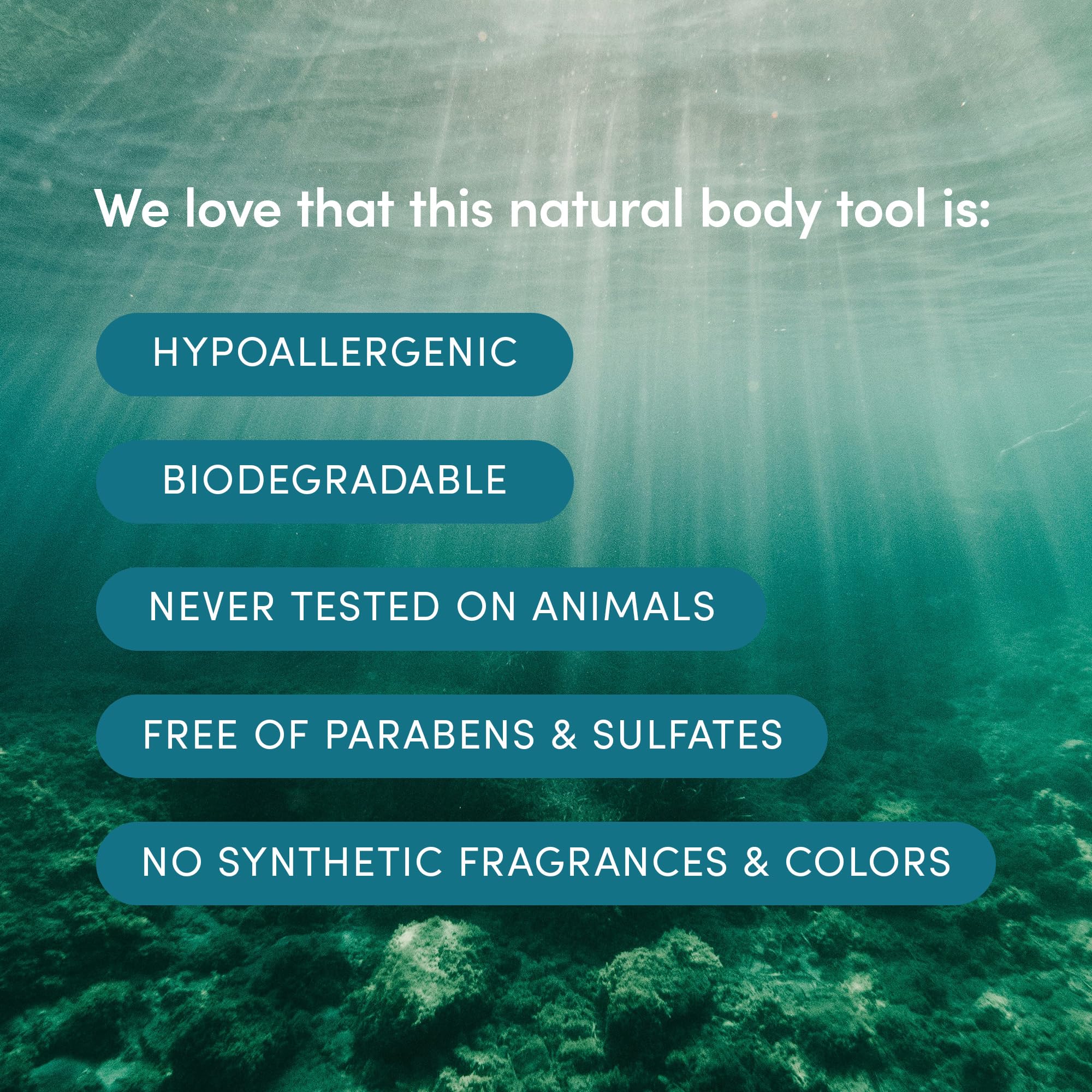 LATHER sponge packaging label visible indicating sustainable sourcing benefits
