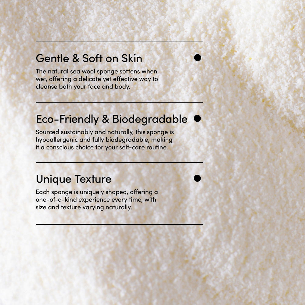 LATHER sponge next to ruler showing true 4–5" size for accurate expectation benefit