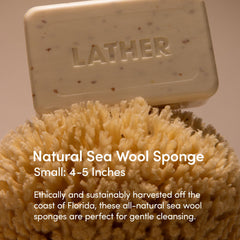LATHER sponge texture closeup highlighting plush fibers for mild exfoliation benefit