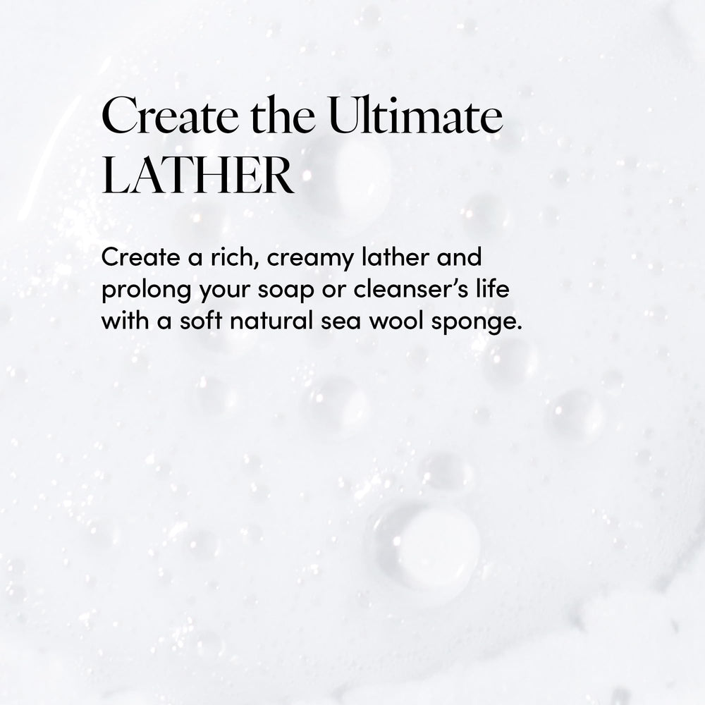 LATHER sponge lathering with body wash demonstrating creamy foam benefit