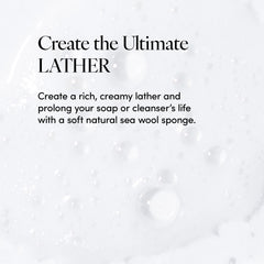 LATHER sponge lathering with body wash demonstrating creamy foam benefit