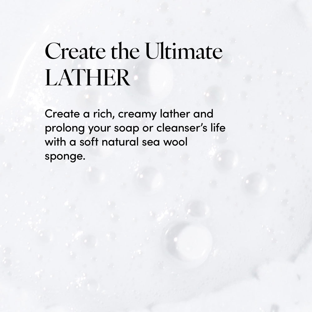 LATHER sponge producing creamy lather with body wash for efficient cleaning