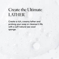 LATHER sponge producing creamy lather with body wash for efficient cleaning