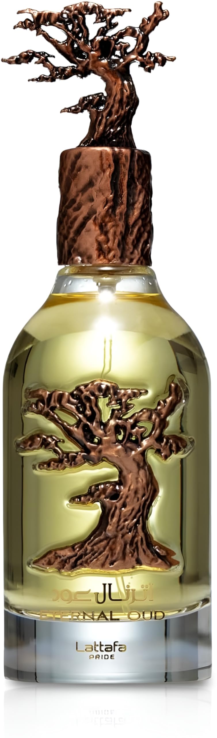 Lattafa Eternal Oud bottle front view showing elegant design and brand clarity