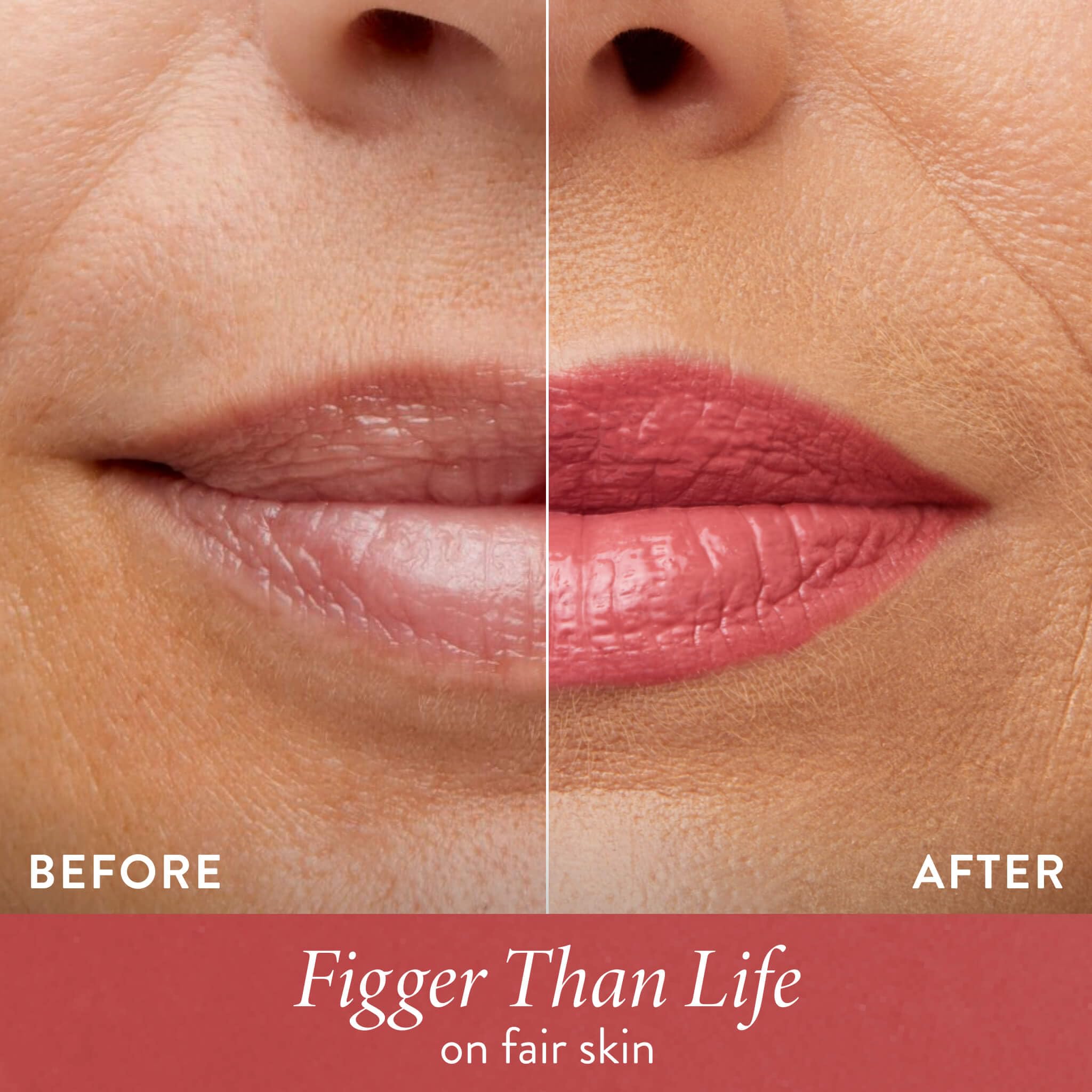 LAURA GELLER NEW YORK ingredient visual showing squalane and vitamin E benefits