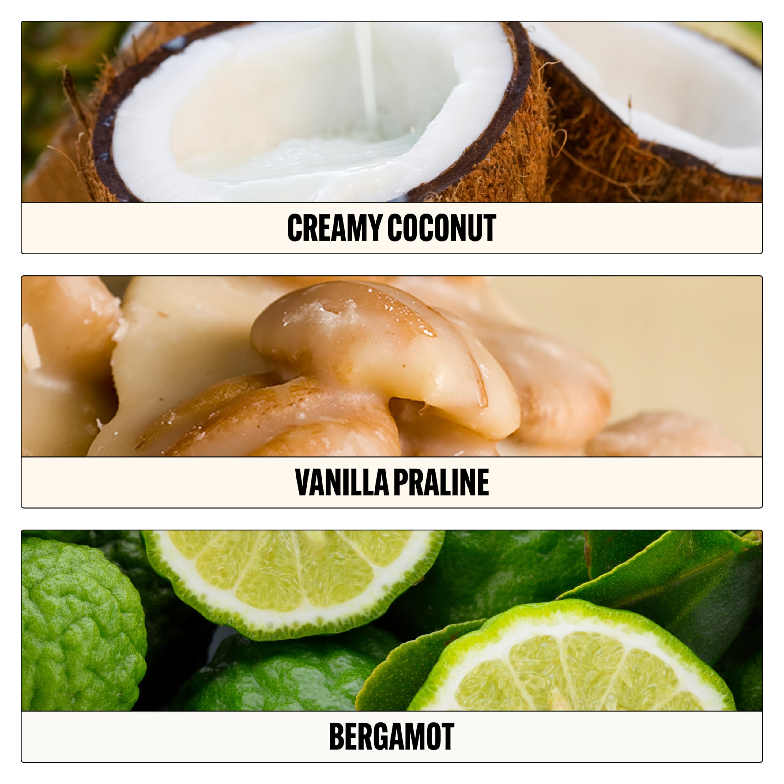 Le Monde Gourmand spray nozzle closeup demonstrating fine mist application for long wear