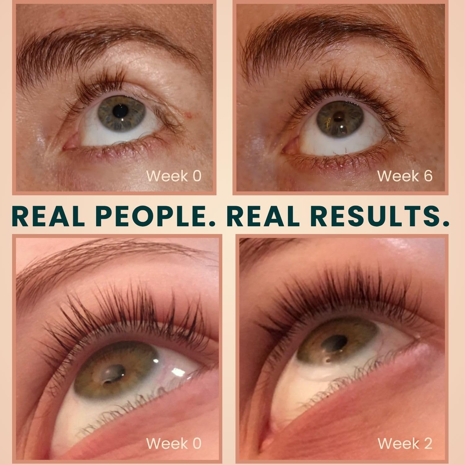 Live Fraiche liner brush painting brow hairs for targeted nourishment and definition