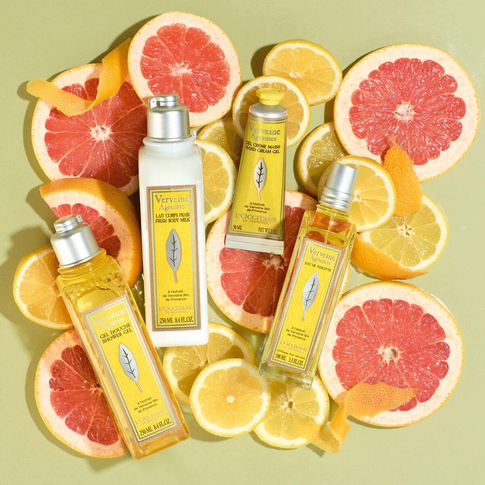 Hand holding L'Occitane shampoo to show 8.4 fl oz scale and convenient travel-friendly size benefit