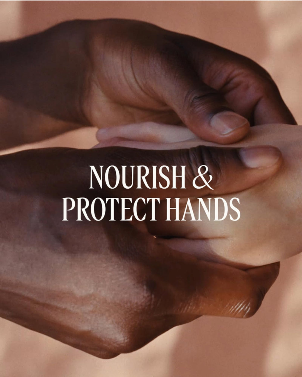 L'Occitane label ingredients close-up highlighting shea nourishment