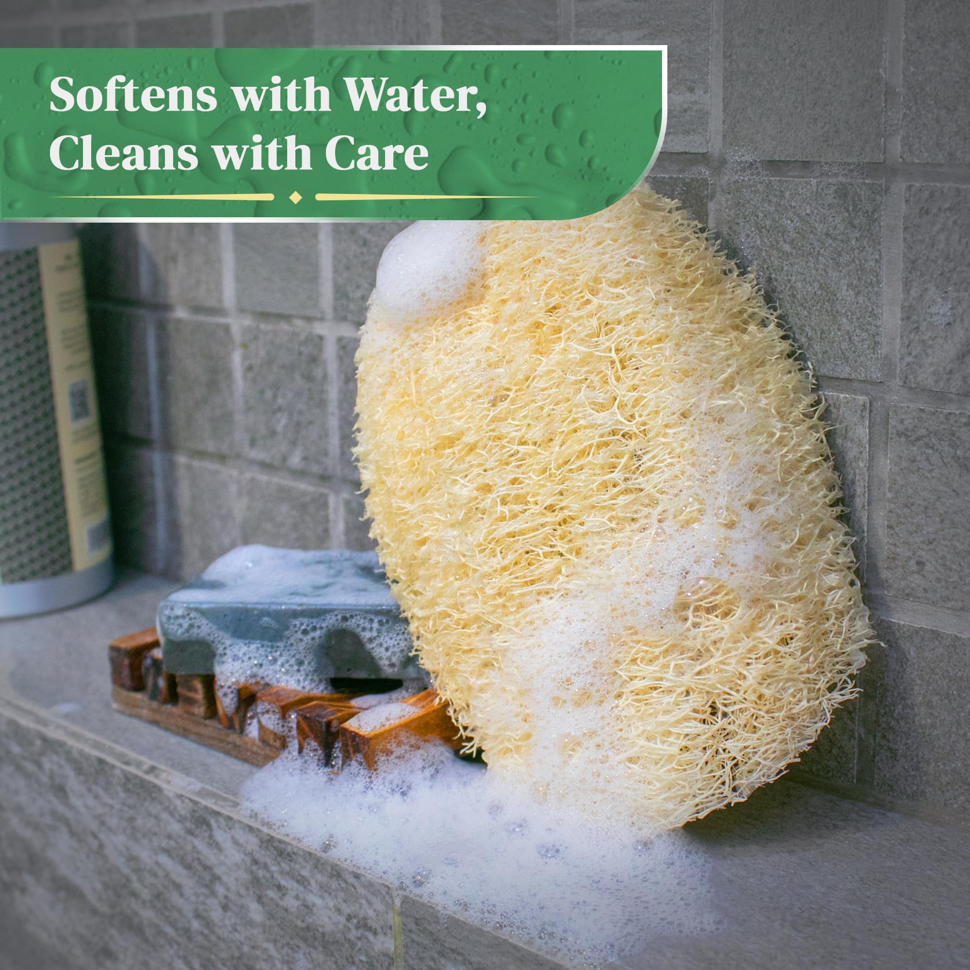 LooLife eight loofah pads stacked indicating rotation and long-term use benefit