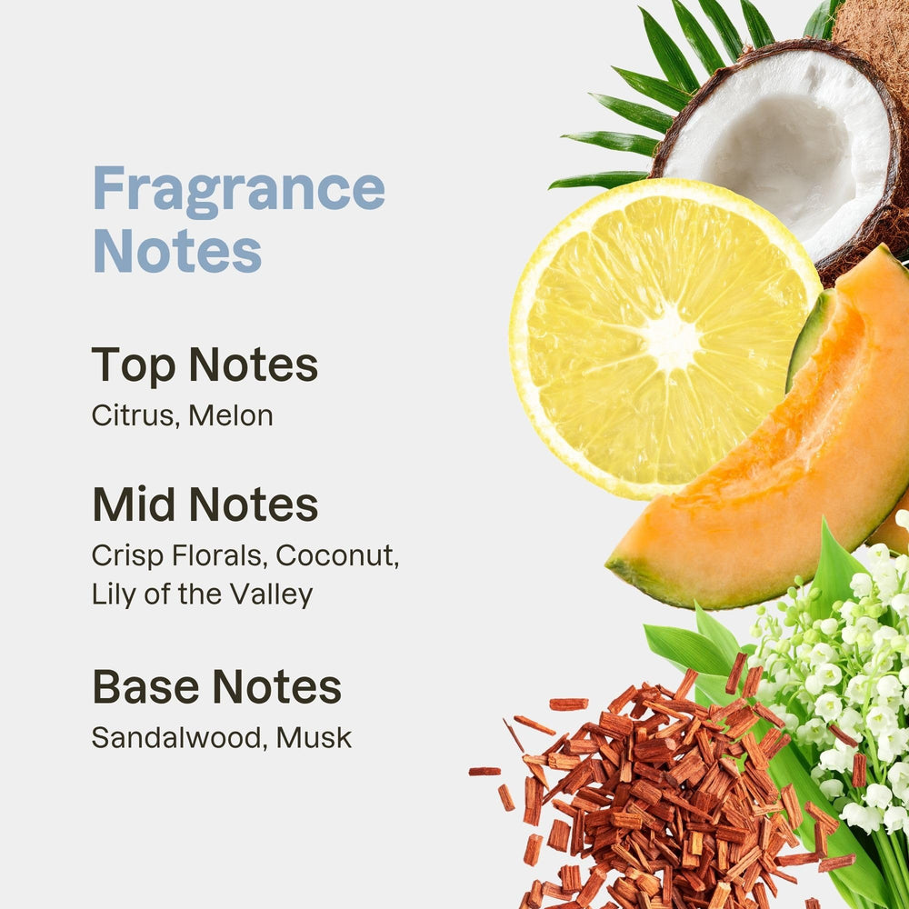 Love Ur Curls turmeric and basil ingredients display for natural support