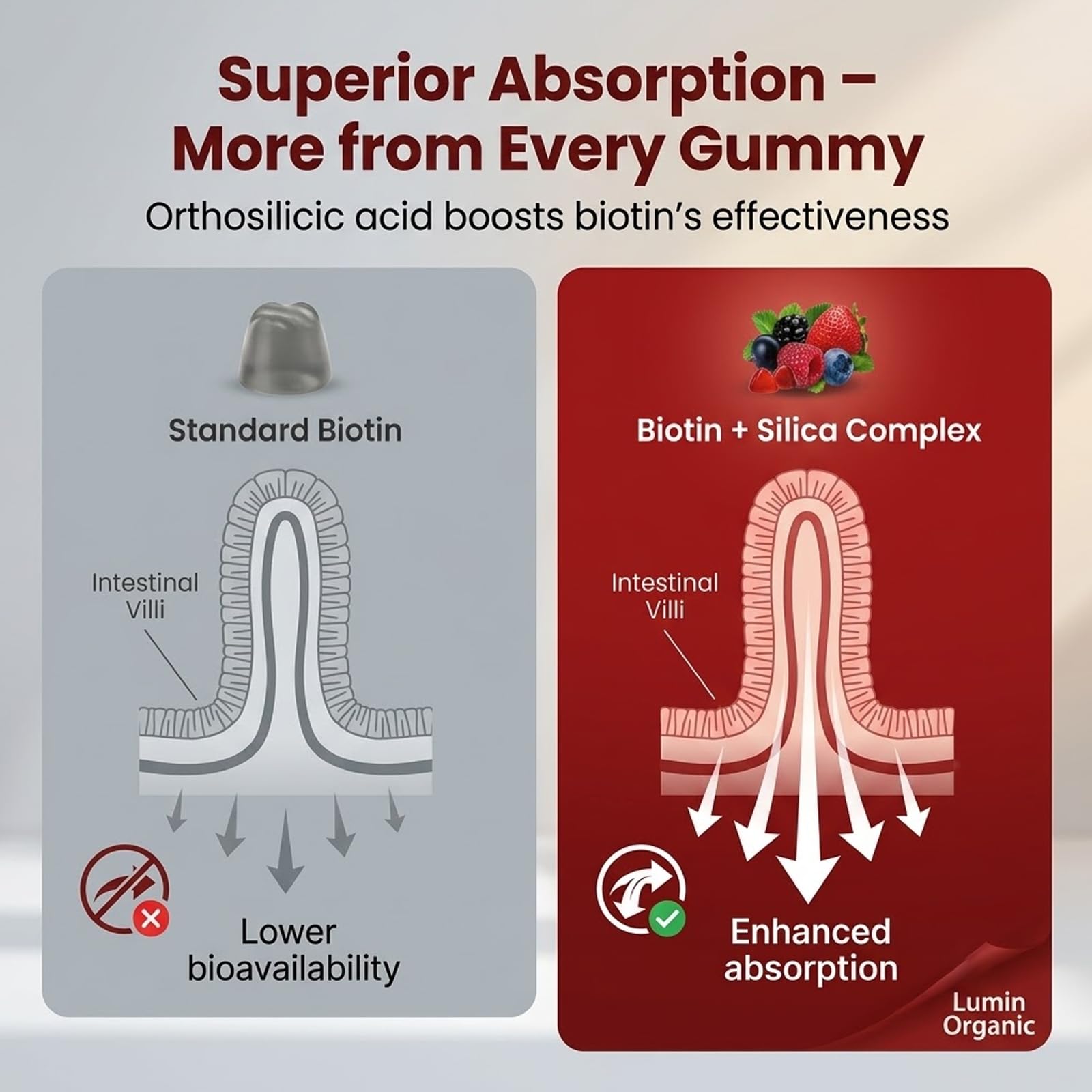 Gummy next to a coin for scale showing Lumin Organic easy-to-chew size and portability benefit