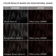 Madison Reed applied to roots during a touch-up showing precise gray coverage