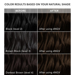 Madison Reed shade swatch for 4NGV darkest golden brown with warm tones