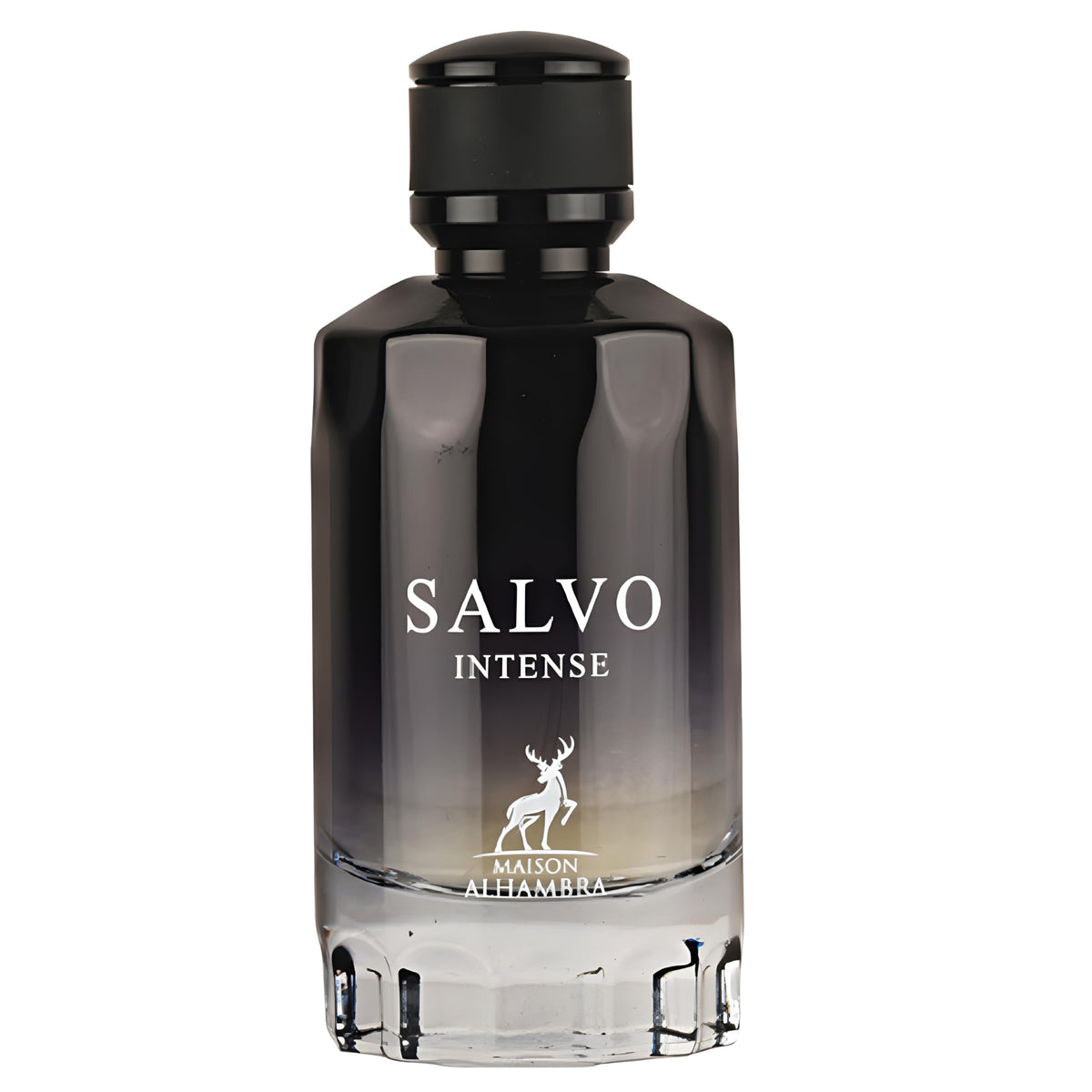 Maison Alhambra Salvo Intense front bottle showing refined packaging and confidence