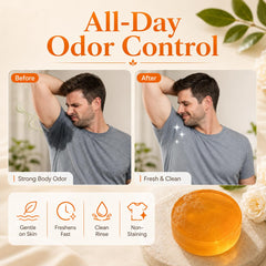 MALVAY green tea extract leaves emphasizing antioxidant cleansing benefit