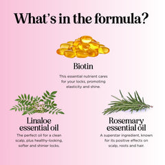 Maple Holistics pomegranate and strawberry ingredients showing antioxidant-rich benefit