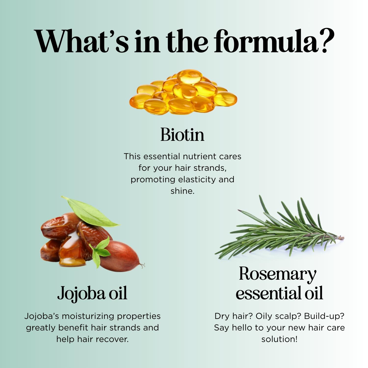 Maple Holistics natural ingredients rosemary tea tree and coconut oil visually linked to nourishment
