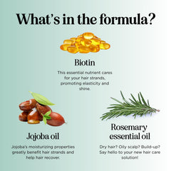 Maple Holistics natural ingredients rosemary tea tree and coconut oil visually linked to nourishment