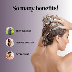 Maple Holistics back label displaying ingredients and usage guidance