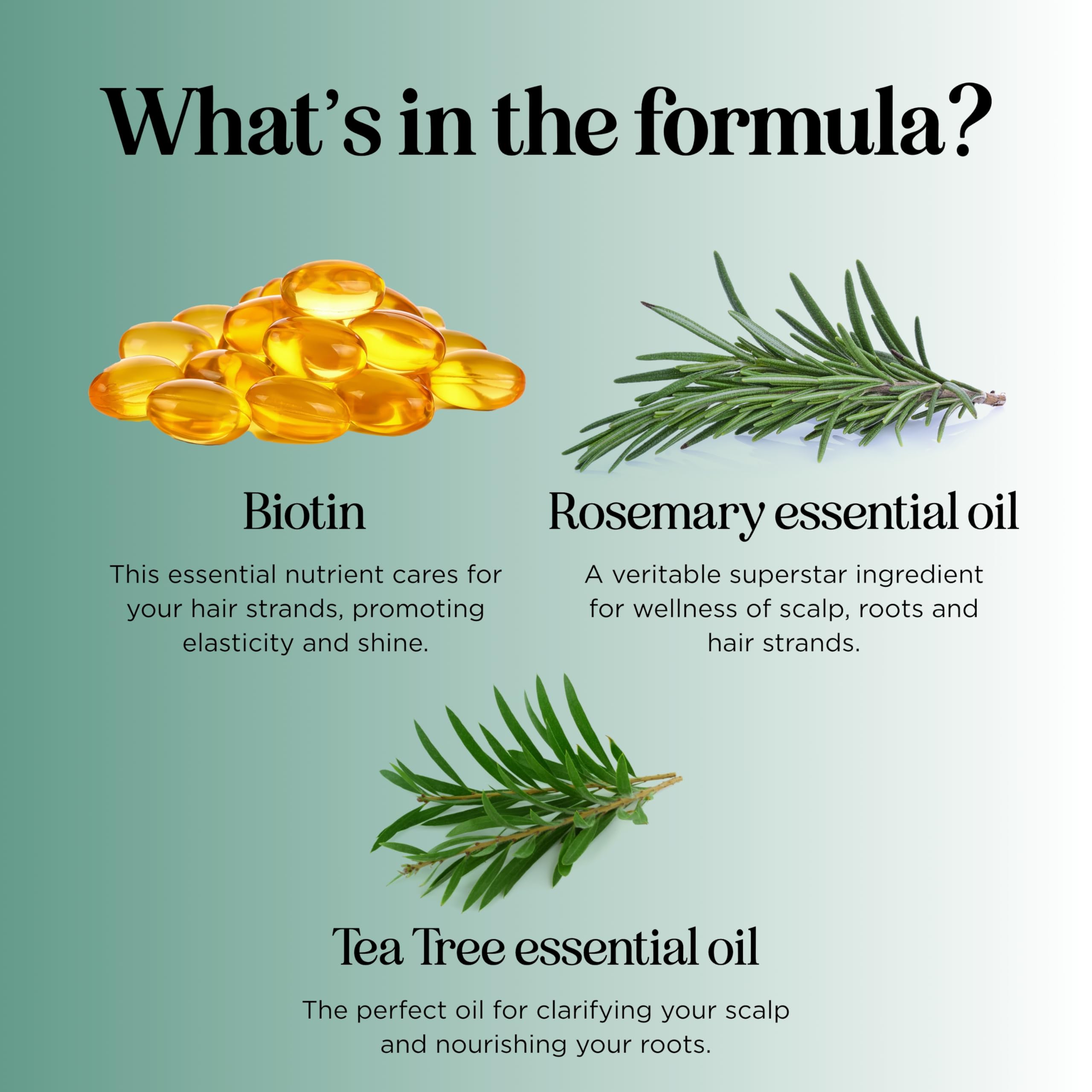Maple Holistics tea tree oil droplet showing refreshing scalp benefit