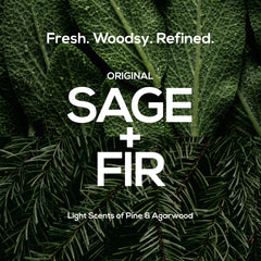 MARLOWE. sage and fir elements representing the clean woodsy scent and balanced aroma