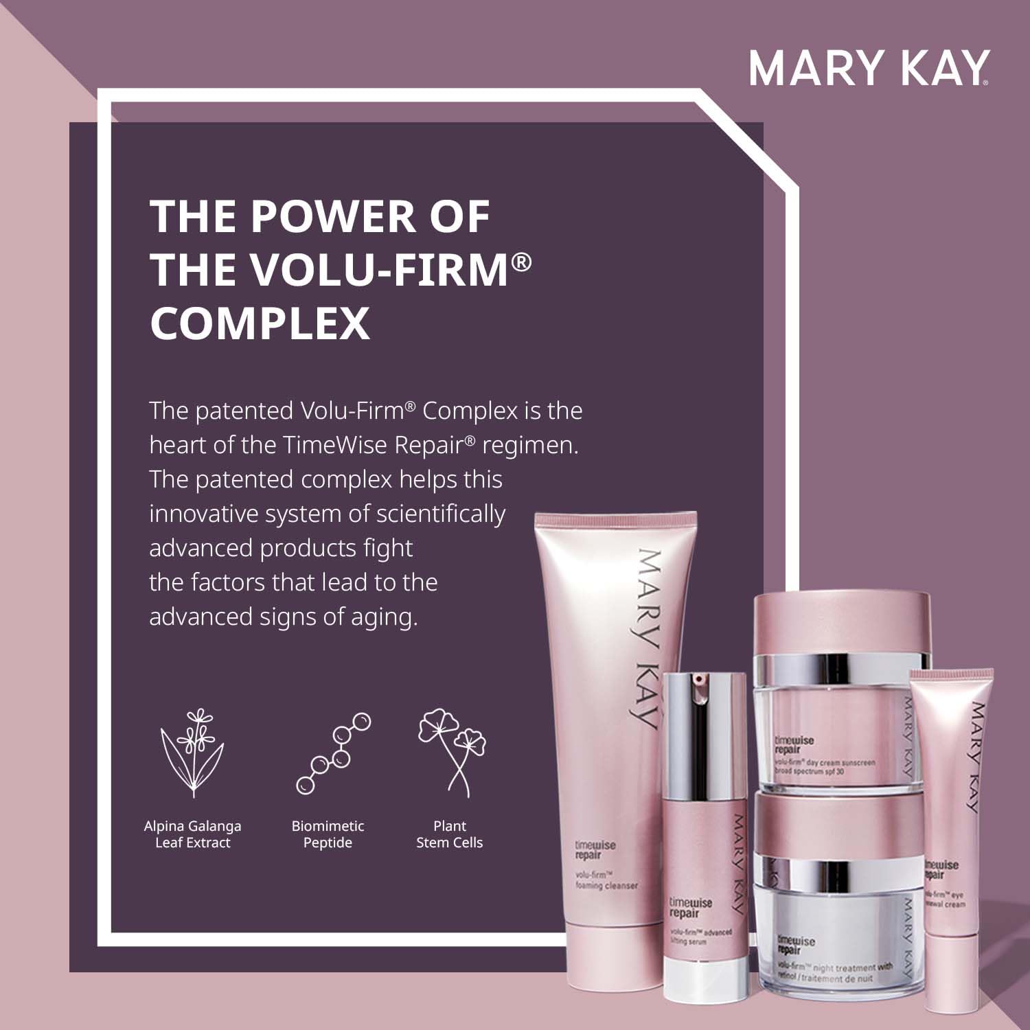 Mary Kay Volu-Firm cream texture close-up highlighting rich, absorbent finish