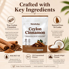 Metabolae Ceylon Cinnamon supplement facts label clear ingredient transparency