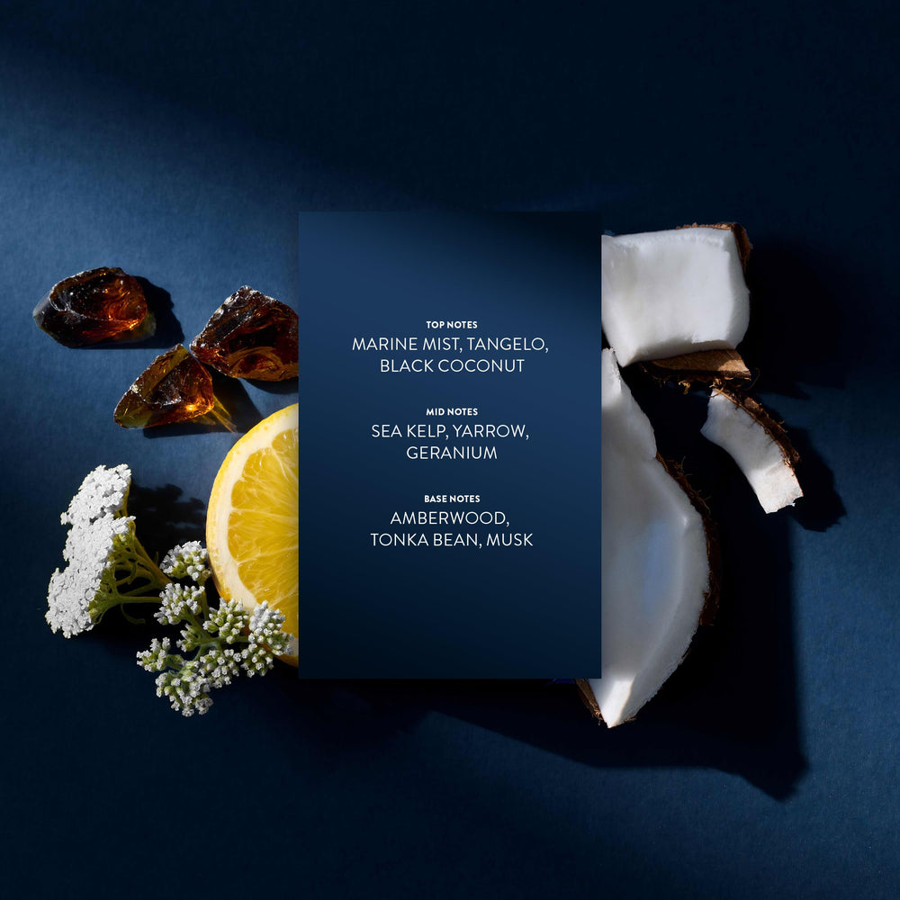 Michael Malul ingredient cards listing marine and woody notes for scent transparency