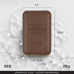Mistral lather in hand demonstrating creamy foam and hydrating cleanse benefit