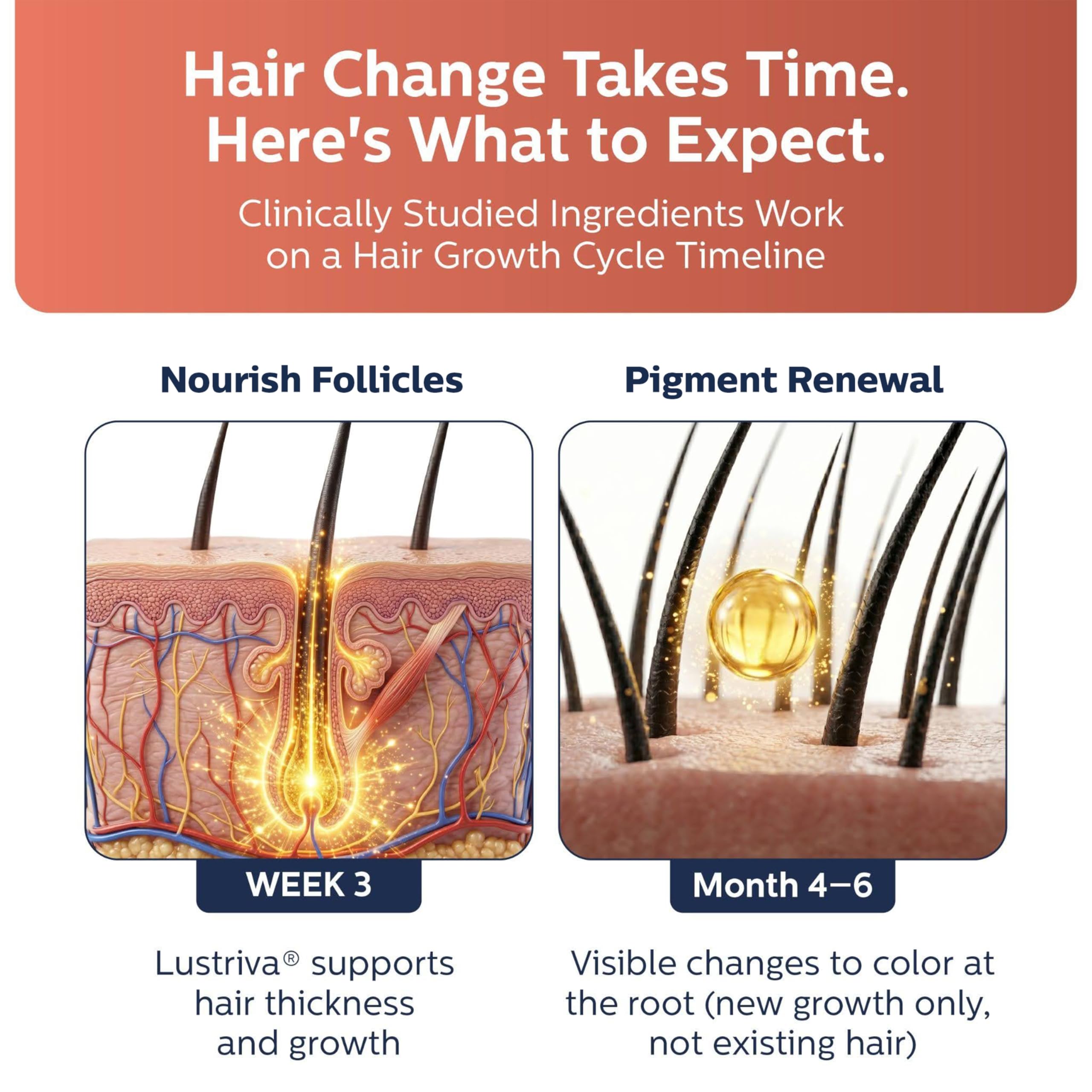 MitoSynergy illustrative hair comparison implying fuller, darker hair