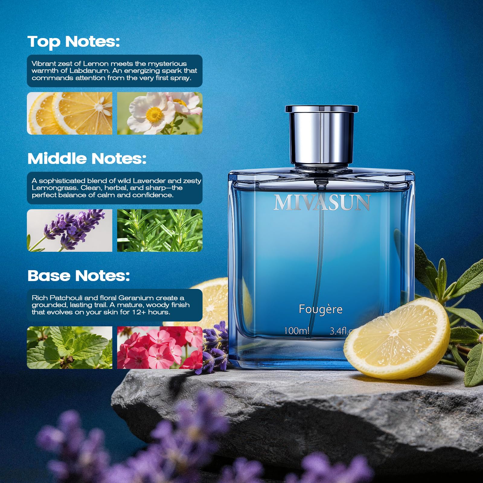 MivaSun heavy glass base close-up conveying quality and shelf appeal