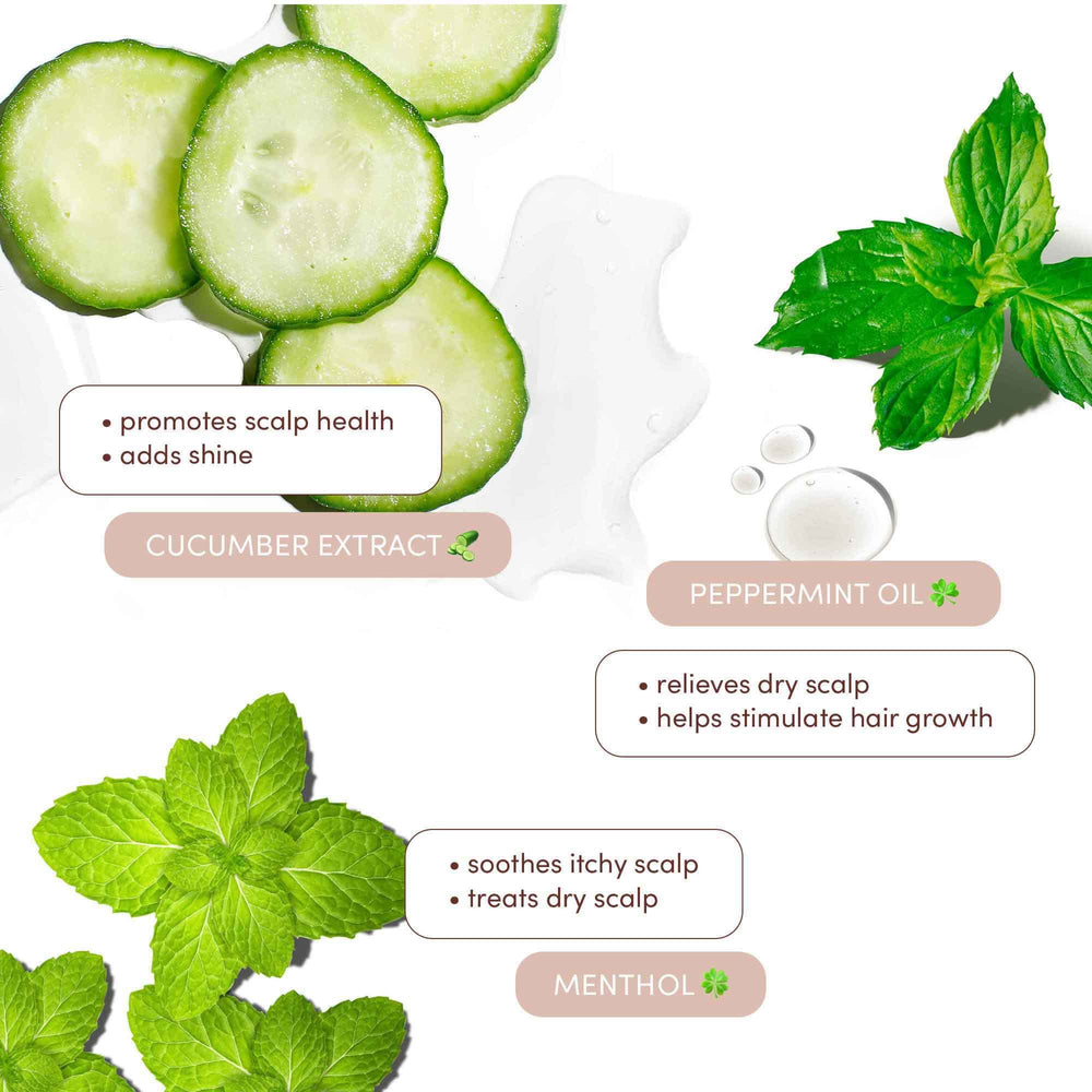 Mizani ingredients cucumber and menthol highlighting cooling benefit