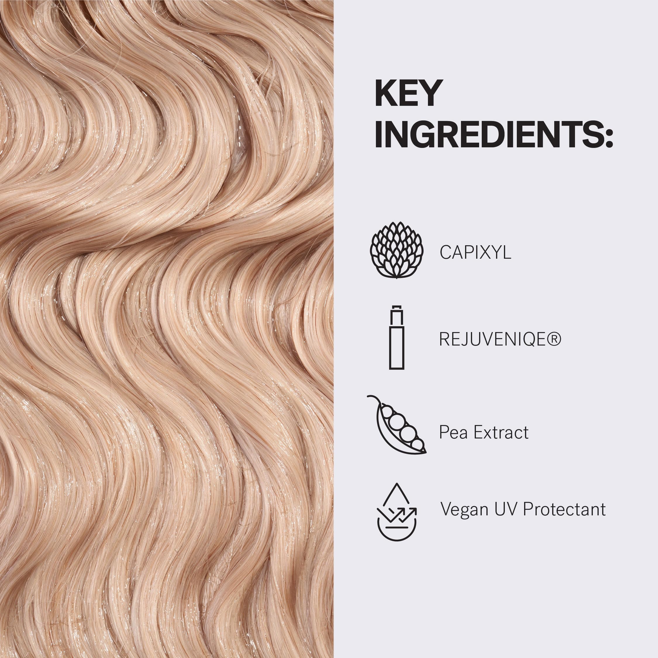 MONAT shampoo in hand dollop showing ideal amount and smooth application benefit
