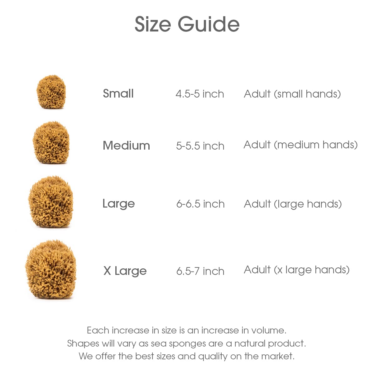 Naroa sponge hanging to air-dry showing proper storage for long-lasting freshness