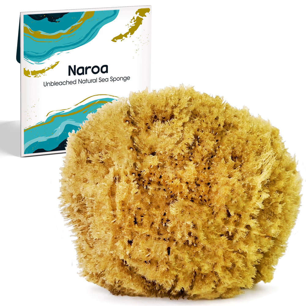 Naroa front view of medium natural sponge showing shape and texture benefits