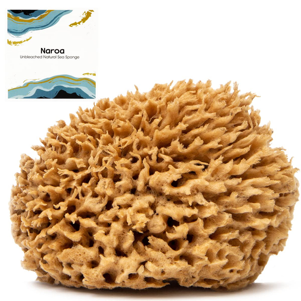 Naroa front view of small unbleached sea sponge showing compact shape and benefit of gentle cleansing
