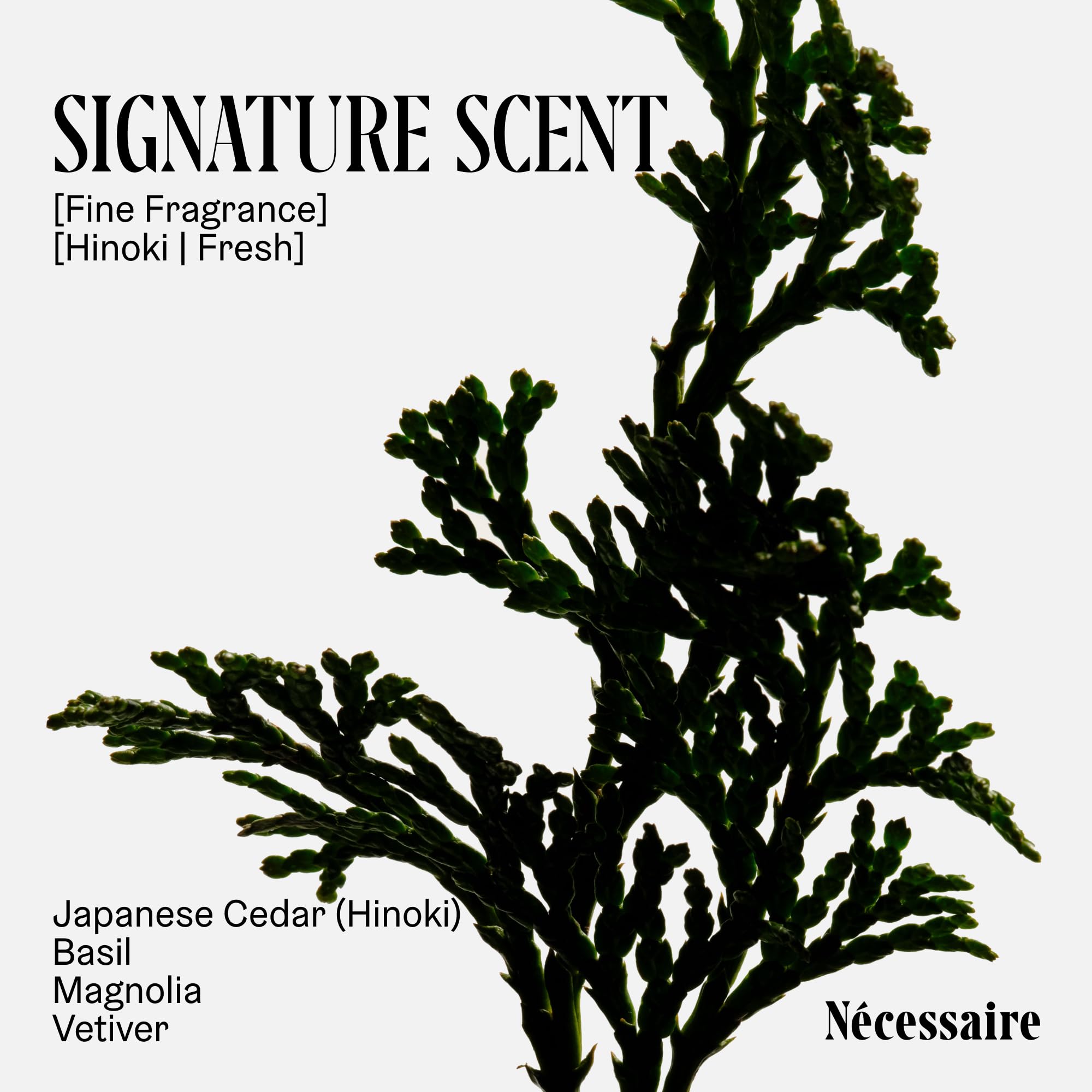 Nécessaire size comparison in hand illustrating compact 3.4 fl oz travel advantage