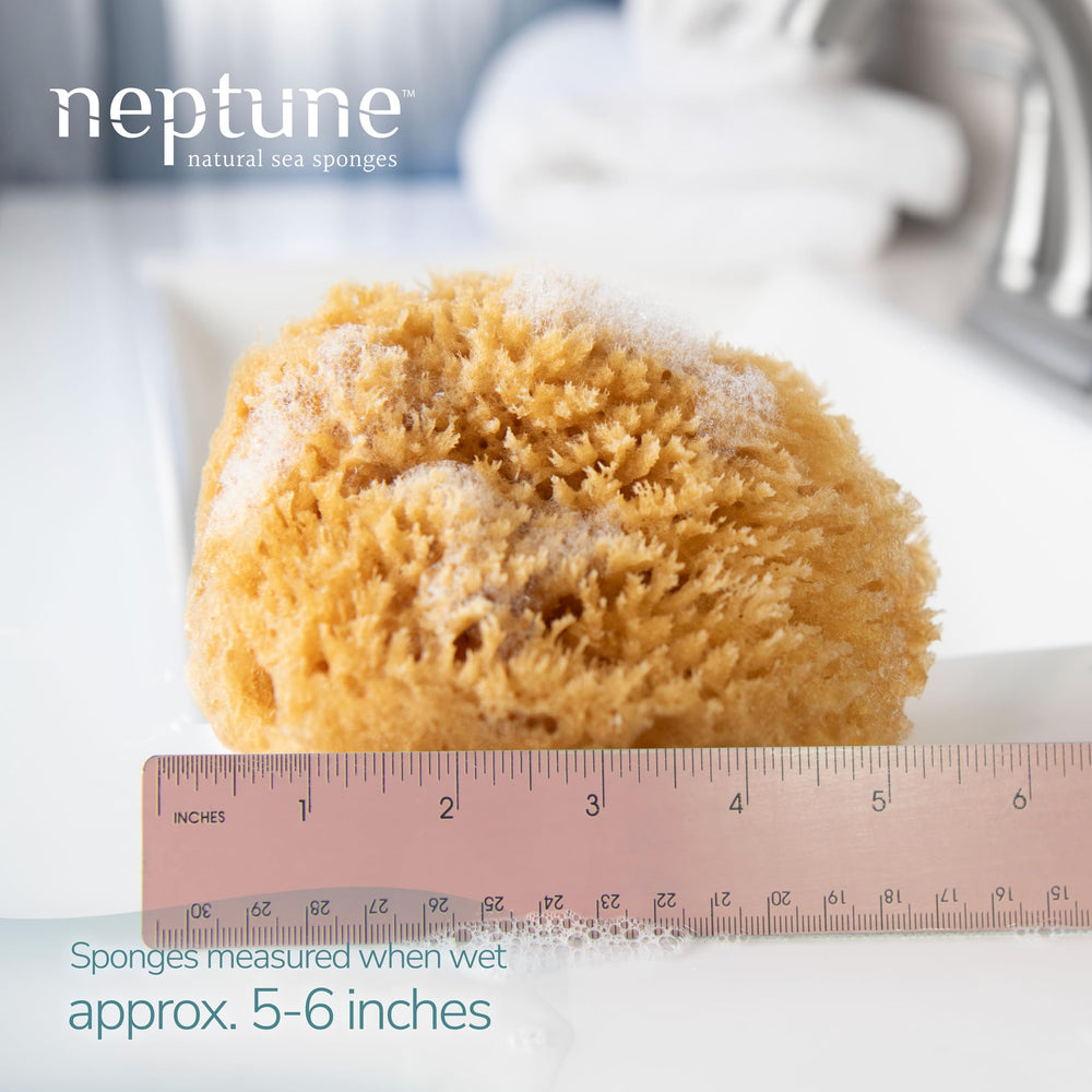 NEPTUNE close-up of porous texture showing gentle exfoliation benefit