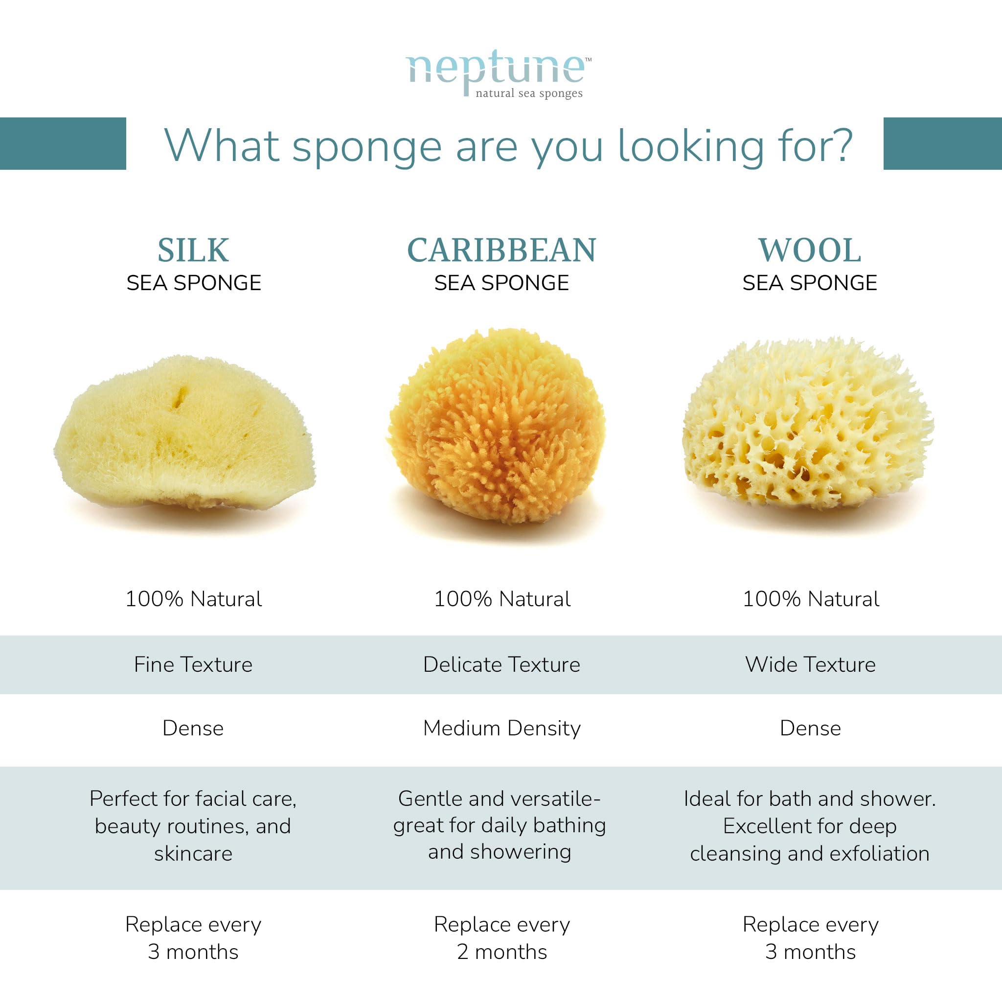 NEPTUNE sponge held in hand showing size and comfortable grip benefit