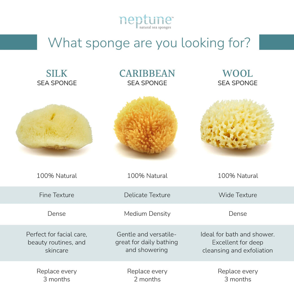 NEPTUNE sponge held in hand showing size and comfortable grip benefit