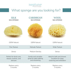 NEPTUNE sponge held in hand showing size and comfortable grip benefit