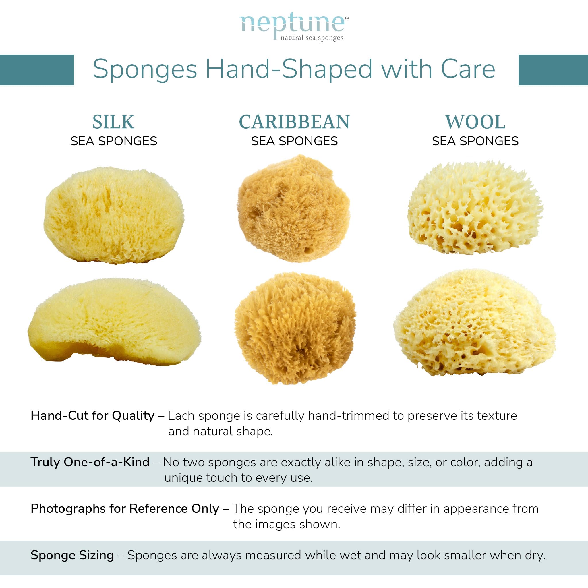 NEPTUNE sponge in shower scene showing spa-like lathering benefit