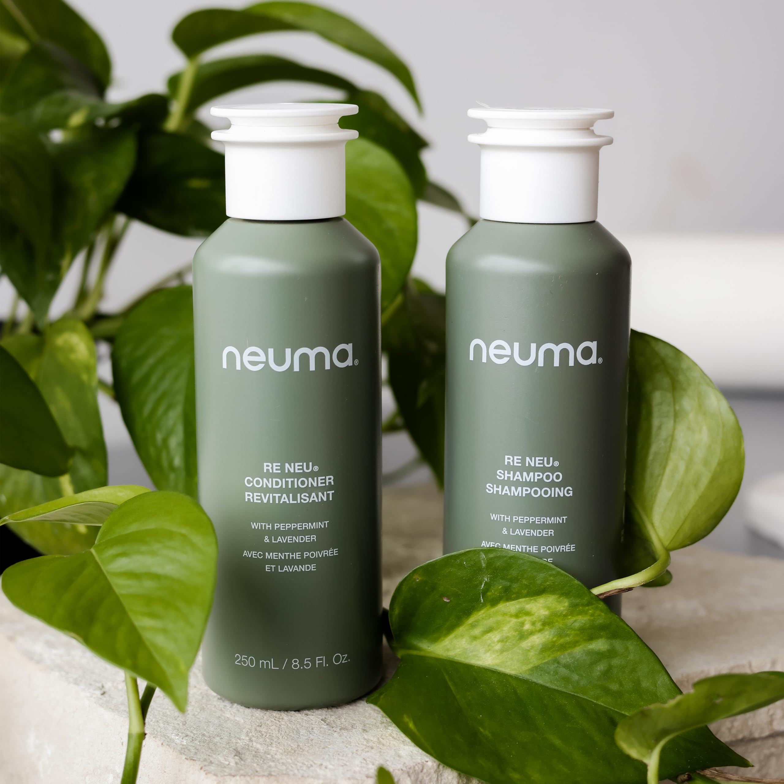 NEUMA retail and travel pack display showing variety and on-the-go convenience