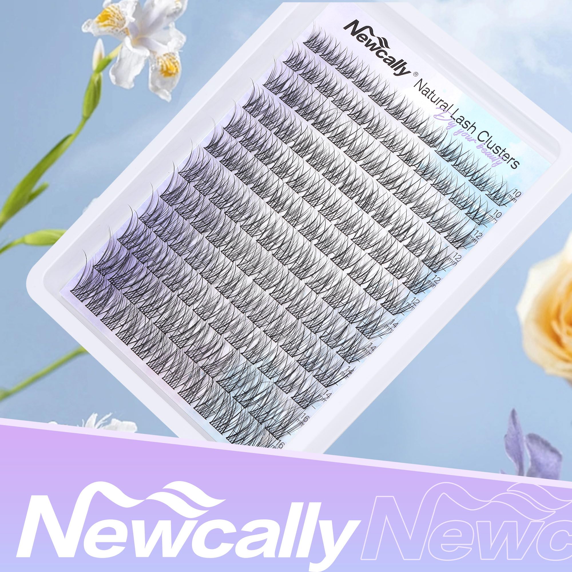 Newcally clusters next to ruler showing size and reuse convenience