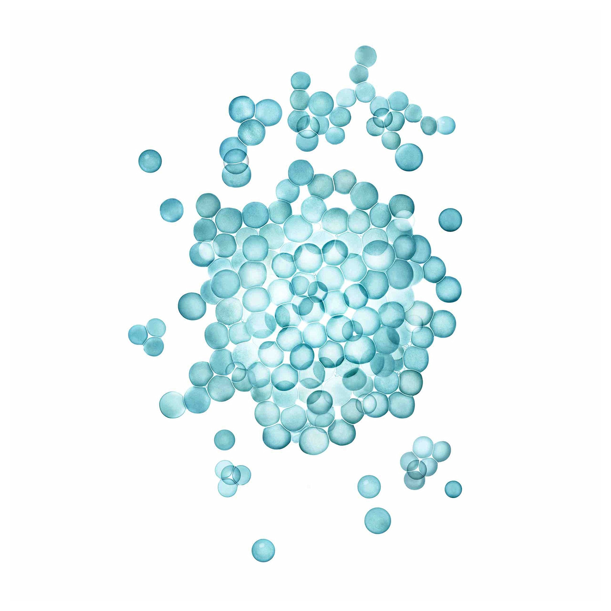 Close-up of Nexxus Caviar & Protein Complex label emphasizing nourishing ingredients