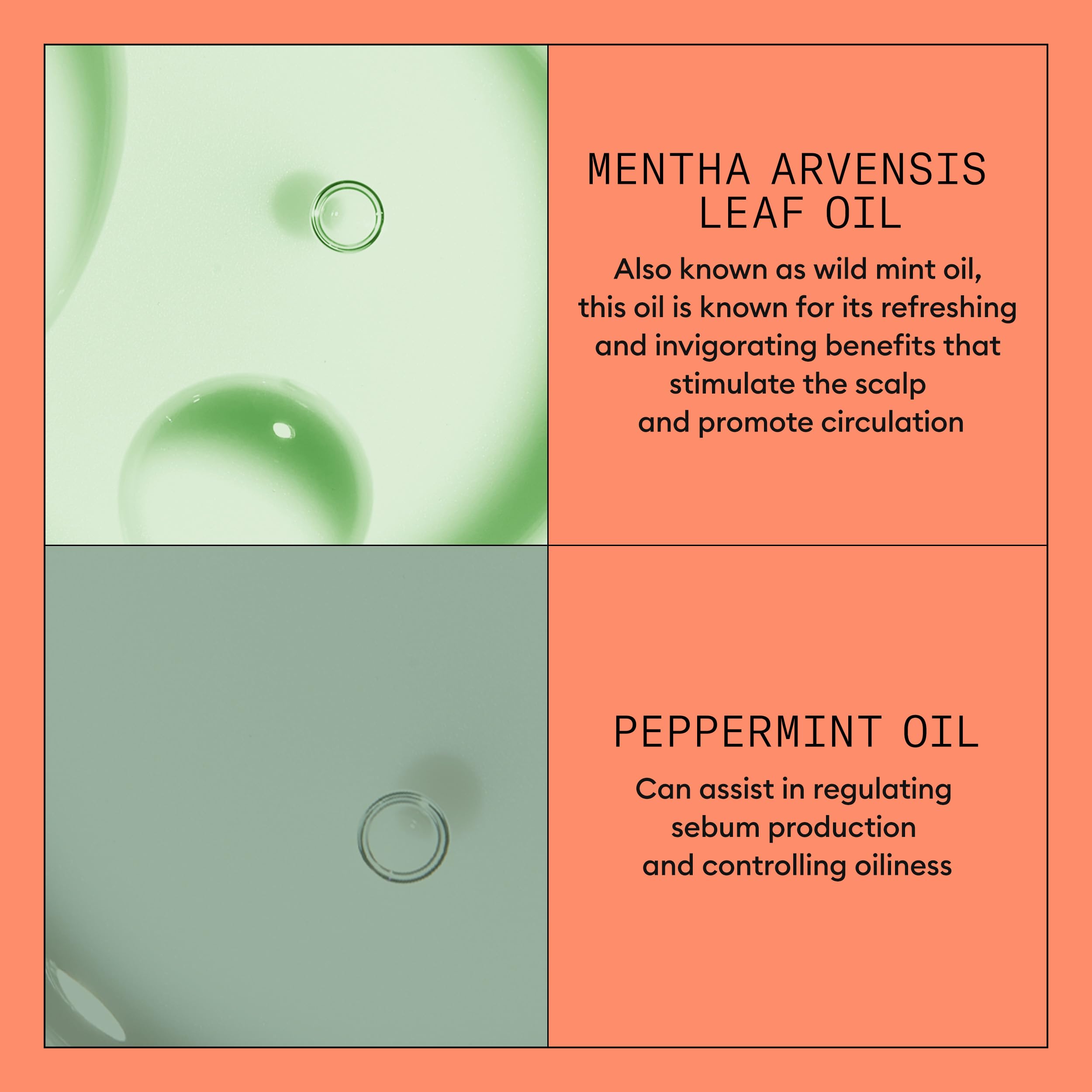 NIOXIN applied to wet hair demonstrating easy distribution and hydration