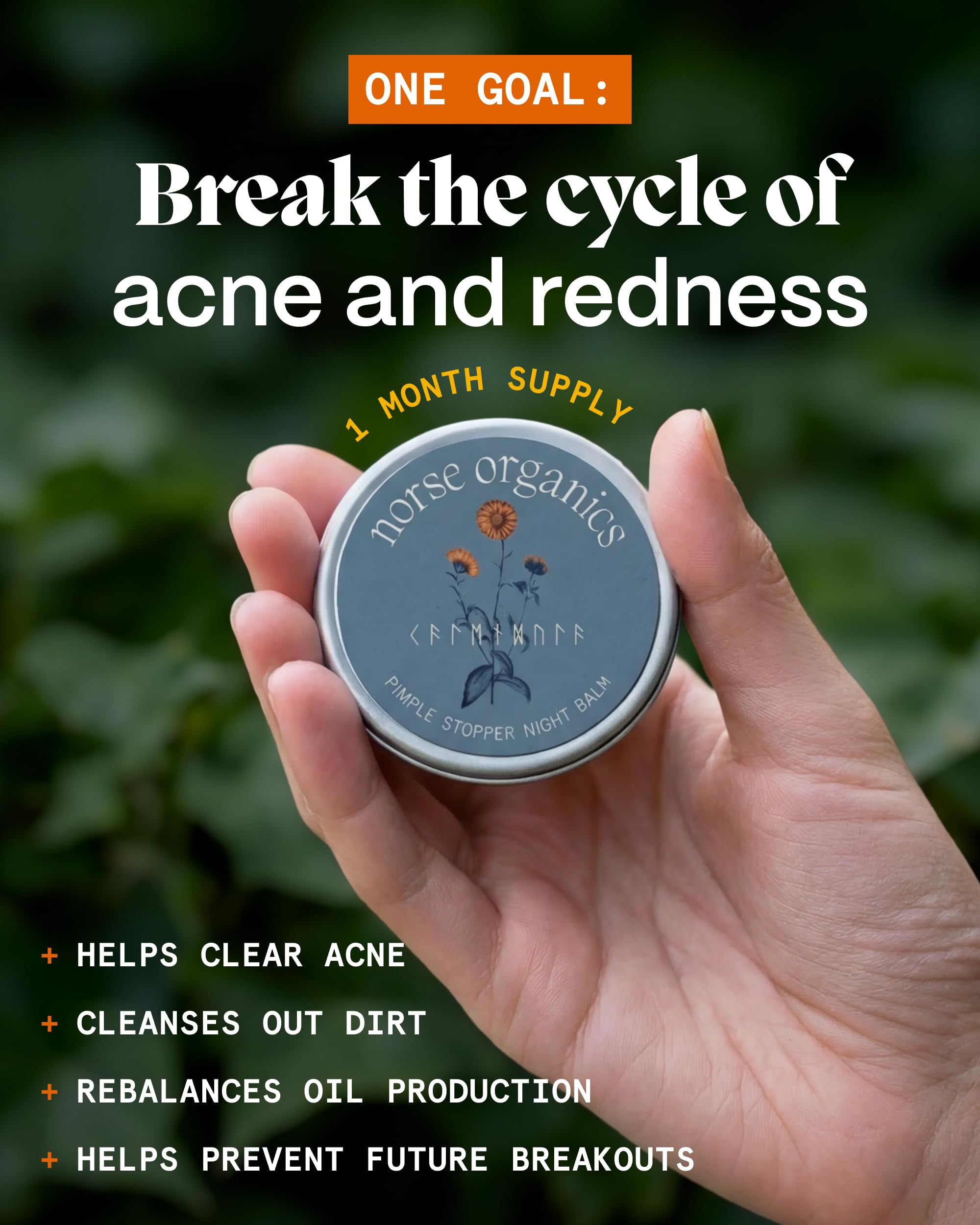 Norse Organics rosehip and sea buckthorn botanicals showing natural calming benefits