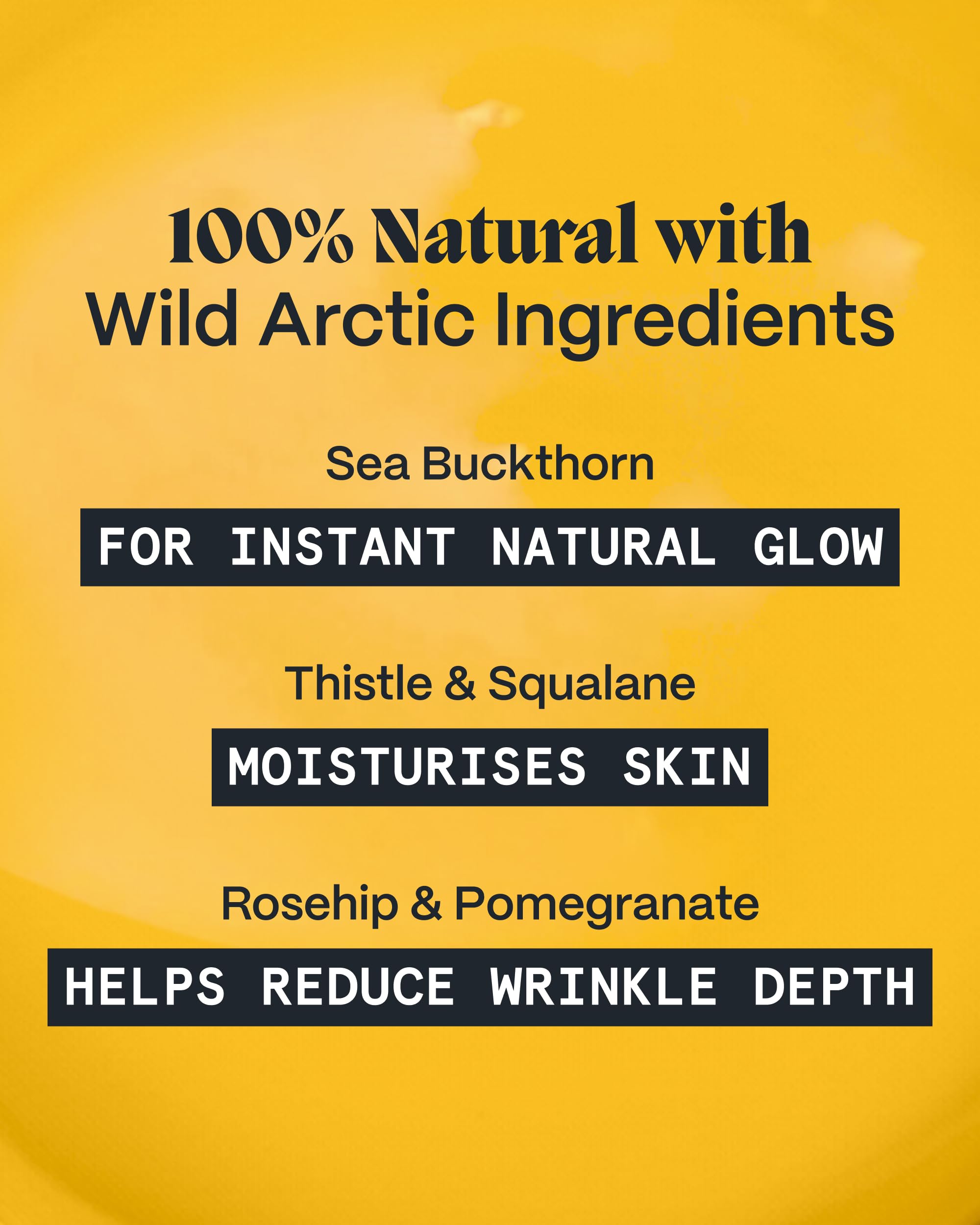 Norse Organics ingredients display with rosehip and pomegranate for antioxidant support