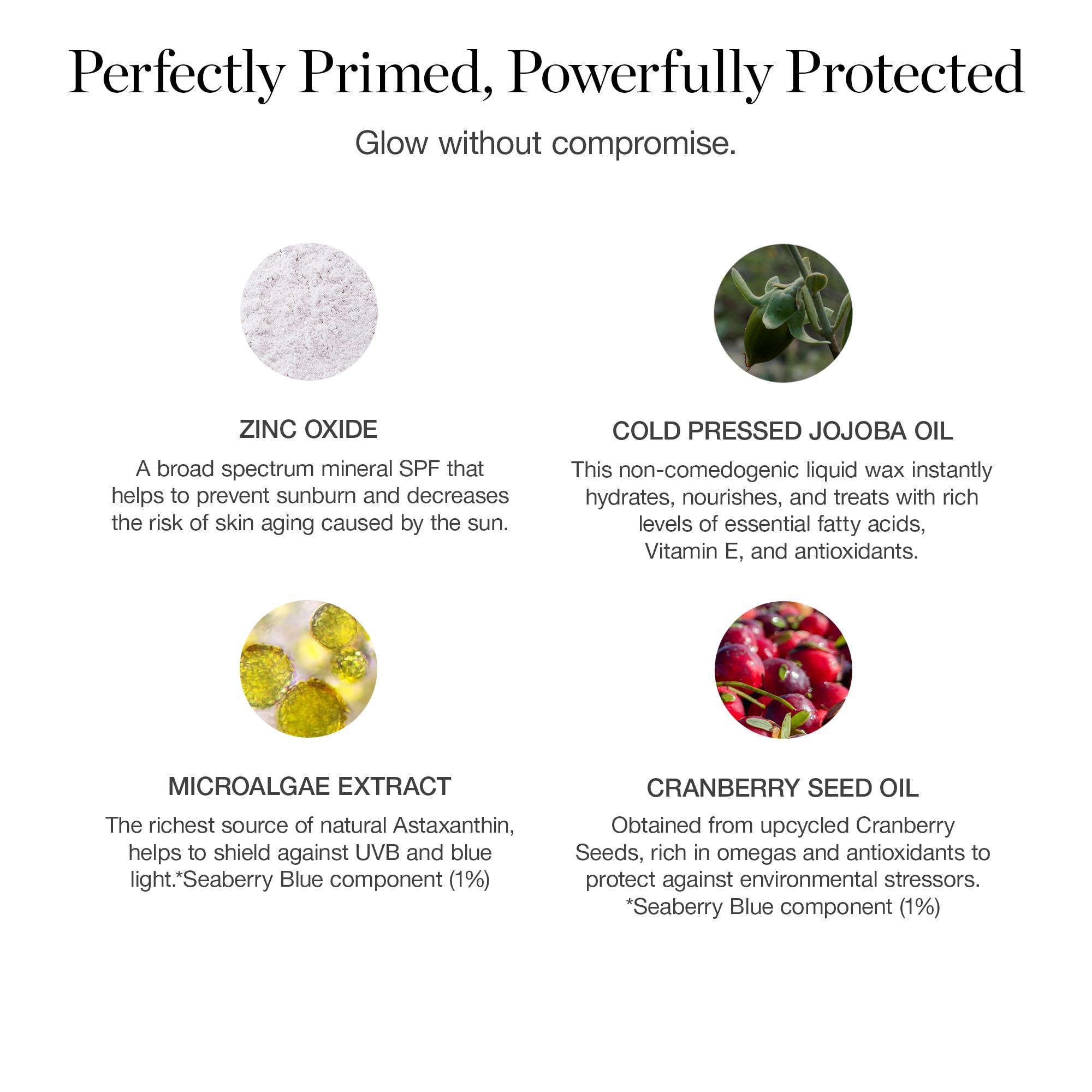 Ogee PROTECT next to common items showing product size and easy storage